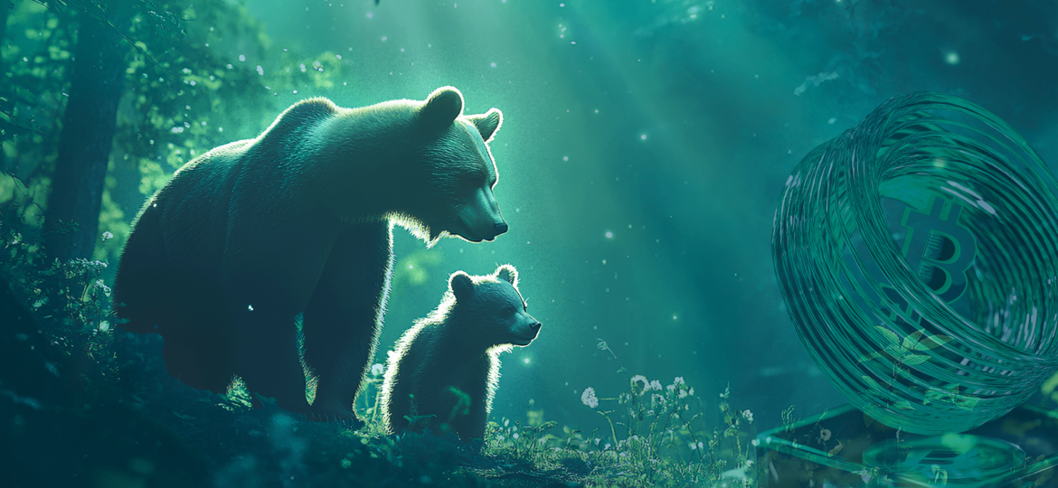 crypto market update